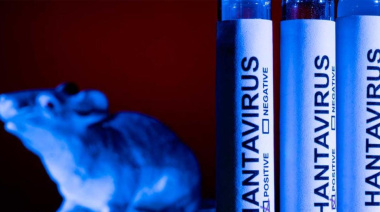 Tierra del Fuego bajo estudio: técnicos del Malbrán salen al campo para buscar rastros del virus