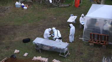 El Malbrán no halló indicios del principal transmisor de hantavirus en Ushuaia
