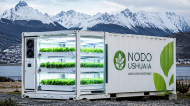 Impulsan en Ushuaia un proyecto para producir verduras con hidroponía y financiamiento digital