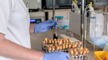 "Sin análisis no hay tratamiento": la crisis del laboratorio del Hospital Regional