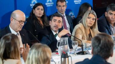 El Senado debate una ley que podría abrir las puertas a la extranjerización de tierras en Argentina