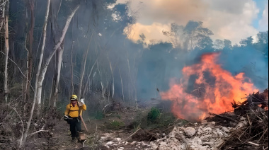 Estudio del CONICET reveló que los incendios deterioran el agua de la Patagonia