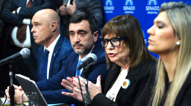 El Gobierno abre otro frente de batalla en el Senado