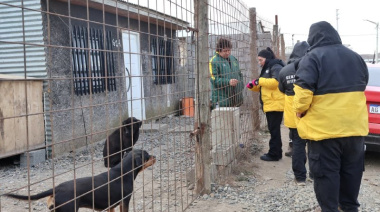 Operativos veterinarios en los barrios para promover el cuidado responsable de las mascotas
