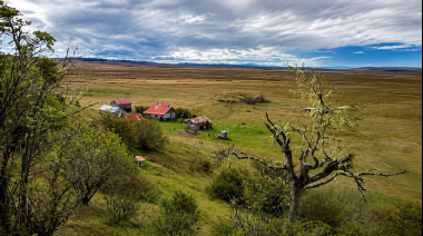 Nuevo esquema para la tierra rural: el Gobierno fijó la hectárea en USD 223,32 y sumó fuertes coeficientes