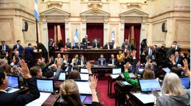 La ley pasó el Senado, pero perdió dos de sus capítulos más polémicos