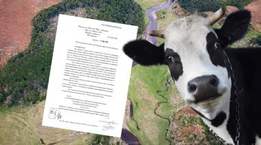 Península Mitre y las vacas: la historia detrás de un acuerdo que deja preguntas abiertas