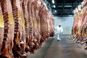 Nación autoriza el ingreso de carne con hueso a la Patagonia