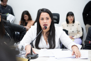 Arce propone digitalizar los planos de construcción de viviendas particulares