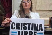 Freites celebró avances para el Garrahan y universidades y apuntó contra Espert: “Violento, mentiroso y vago”