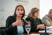 Fuerte suba del precio de garrafa de gas: “A Milei no le importa si las familias se mueren de frío”