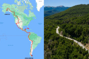 Buscan unir Ushuaia con Alaska con una "Ruta Verde" de árboles autóctonos