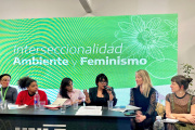 La senadora Duré pidió la liberación de Cristina Kirchner en un panel latinoamericano