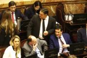 Senado: reinstauran fondos para el Garrahan y universidades públicas