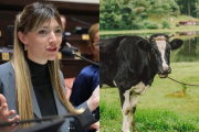 La diputada Lucía Lorena Klug de UP propone un “impuesto a los pedos de las vacas”
