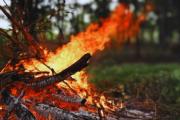 Hubo actas por fogatas ilegales y refuerzan controles en toda Tierra del Fuego