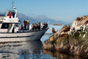 Ushuaia alcanzó 66% de ocupación turista