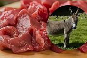 Llega la carne de burro al mercado en medio del fuerte aumento de la carne vacuna