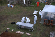 El Malbrán no halló indicios del principal transmisor de hantavirus en Ushuaia
