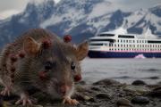 Al menos tres víctimas fatales por hantavirus en un buque que salió de Tierra del Fuego