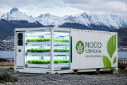 Impulsan en Ushuaia un proyecto para producir verduras con hidroponía y financiamiento digital