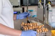 "Sin análisis no hay tratamiento": la crisis del laboratorio del Hospital Regional