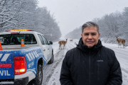 Hielo negro, guanacos y exceso de velocidad: la combinación que puede ser fatal