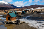 Reavivan el debate por las condiciones de los perros de trineo en Ushuaia