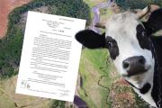 Península Mitre y las vacas: la historia detrás de un acuerdo que deja preguntas abiertas