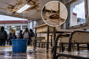 Filtraciones, cucarachas y aulas deterioradas en el Sobral y Los Andes