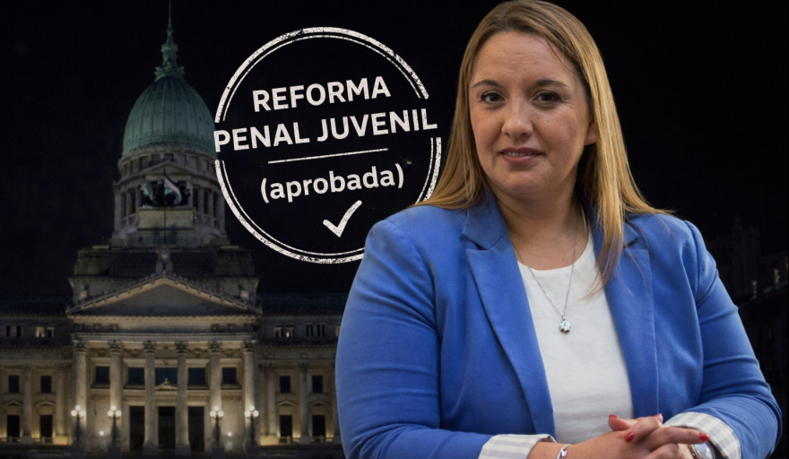 Freites cuestionó la baja de imputabilidad y advirtió que “sin recursos no va a funcionar”